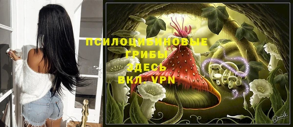 ALPHA PVP Вяземский