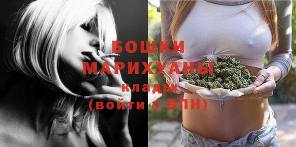ALPHA PVP Вяземский