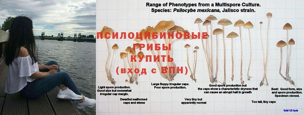 кристаллы Вязьма